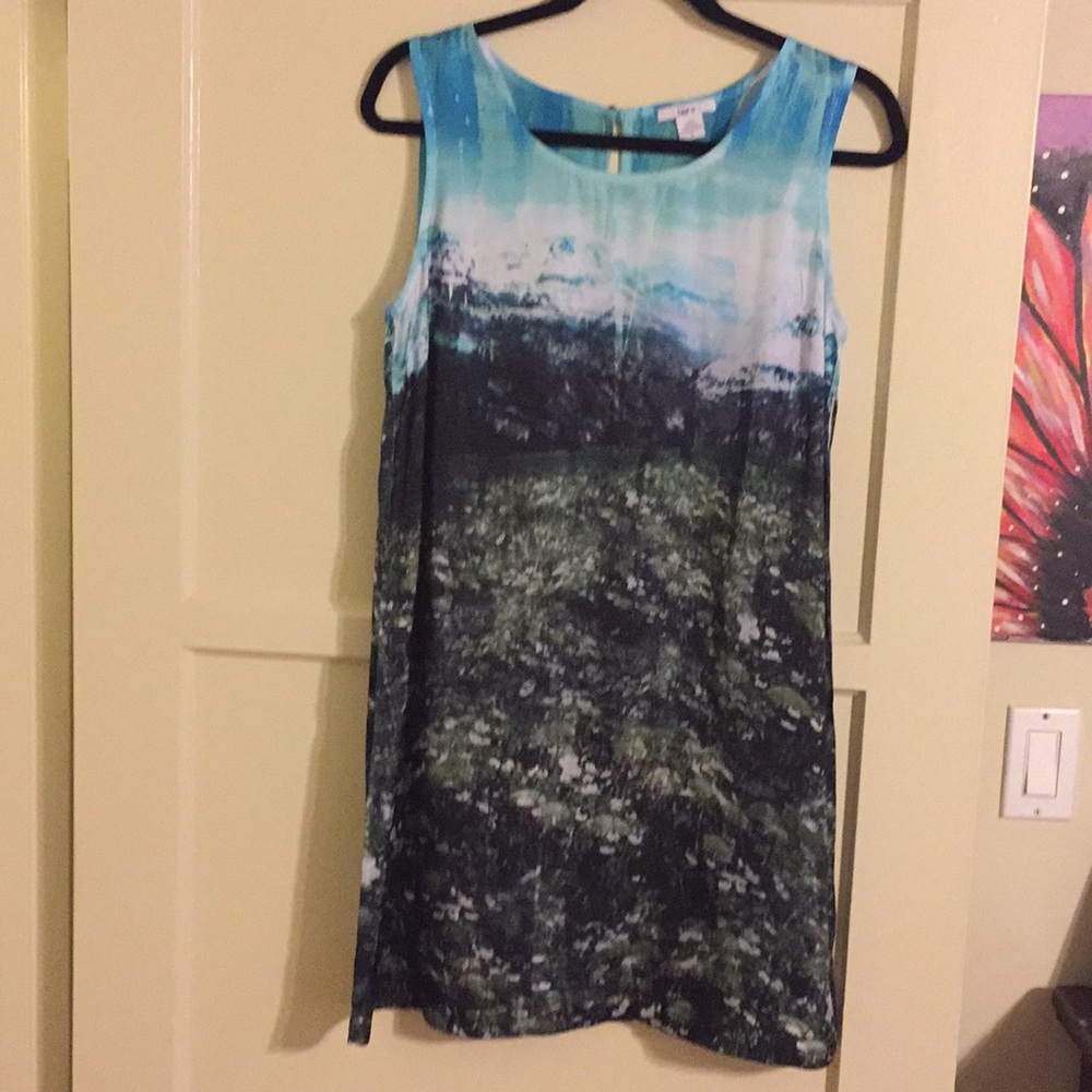 Bar III Mountain scene dress